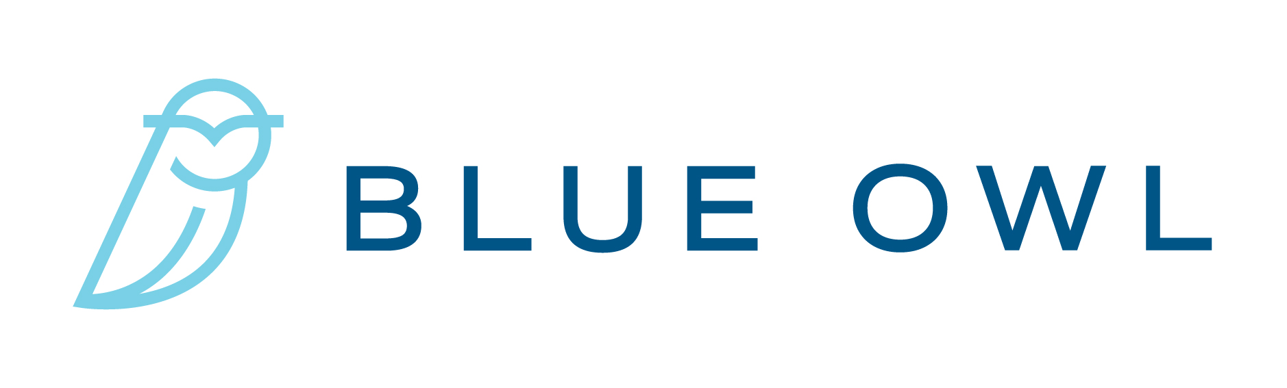 BlueOwlLogo-OnWhite-horizontal.jpg